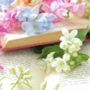 Thumbnail of related posts 091