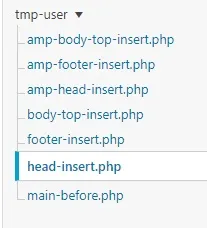 head-insert.php